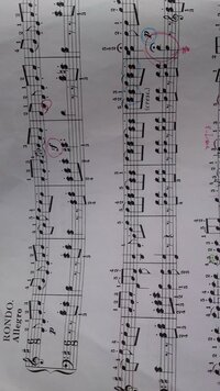 Kana Boonのアサヒレンとはなんなのでしょうか トカゲ Yahoo 知恵袋