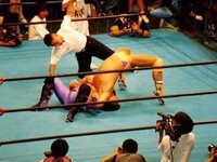 プロレス技の質問です ブリッジが一番綺麗な技は何だと思いますか 俺は馳浩のノ Yahoo 知恵袋