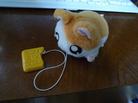 紐を引っ張ると動くおもちゃ 写真にある 紐を引っ張ると動くハム太郎のおも Yahoo 知恵袋