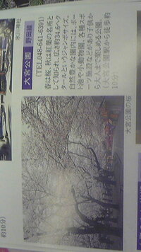 犬連れでも行ける貴重なさいたま市の公園 埼玉県営大宮公園の口コミ トリップアドバイザー
