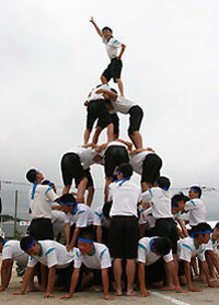 体操服の短パンとハーフパンツ、ショートパンツ、クオーターパンツの違いってなん... - Yahoo!知恵袋