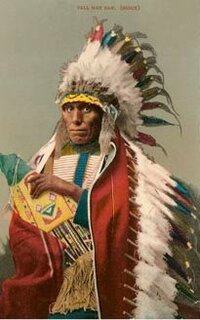 アメリカ先住民族の鳥の羽根を使った衣装には どのような意味があったのでしょう Yahoo 知恵袋