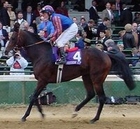 モンジューの子供でこれまでで最強はどの馬だと思いますかやはり実績ダ Yahoo 知恵袋