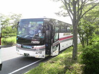 桜の季節に思わず後ろ姿が素敵な人がいたのでシャッターを押しました顔は Yahoo 知恵袋
