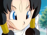 ドラゴンボールの中で好きな女キャラ教えてください 私はビーデルと初 Yahoo 知恵袋