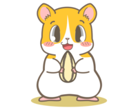 ハムスタ はおならをしますか しますよ 哺乳類の動物は大抵げっぷもオナ Yahoo 知恵袋