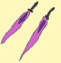 Pspo2iツインセイバーについて神剣ヤオロズがディオス デスペルタルに勝 Yahoo 知恵袋