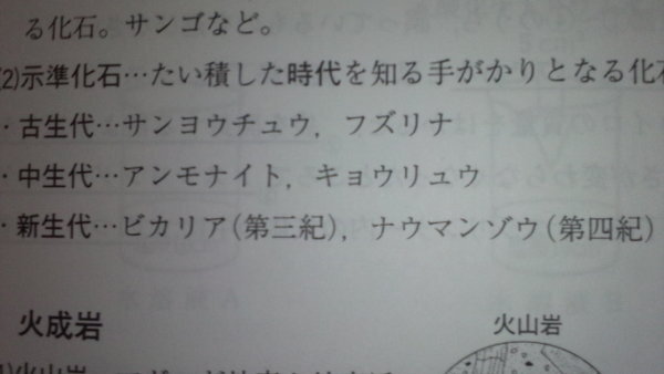 この古生代 中生代 新生代が覚えられません 語呂合わせお願いします 古 Yahoo 知恵袋