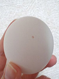 ダークソウル白いサインろう石が取れません ソラールに話しかけても あ Yahoo 知恵袋