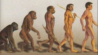 人間の進化論について質問です 人間は 猿から人間に進化していったという理論が Yahoo 知恵袋