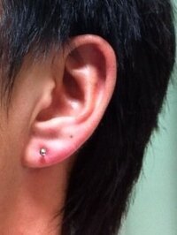 利用 ピアッサー 再
