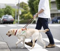 犬に英語で ウェイト とか グー とか言っている人は 何がした Yahoo 知恵袋