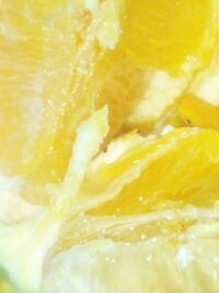 オレンジを剥いたら中の芯に沿ってに白いブツブツがありました カビ 食べても大 Yahoo 知恵袋