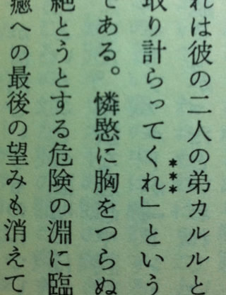 民に放の右側に心ってなんていう漢字なんでしょうか 憐愍 れんびん と読 Yahoo 知恵袋