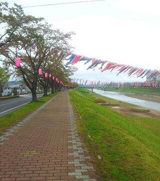 桜並木の毛虫発生時期は 最近ジョギングを始めた者です いつも桜並木 Yahoo 知恵袋
