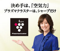 Sharp プラズマクラスター のcmで 水川あさみさんが着用しているワンピ Yahoo 知恵袋