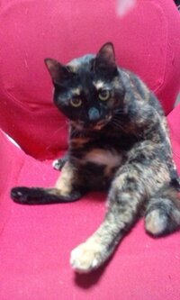 スラムダンクで 湘北の木暮と海南の宮益は どちらがバスケうまいと思 Yahoo 知恵袋