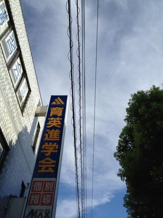 電線に巻いてあるぐるぐるは何のためのものですか 散歩中に ふと 電線に巻いて Yahoo 知恵袋