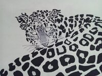 学校の休み時間にできるようなマジックを教えて下さい 準備できるものは紙 Yahoo 知恵袋