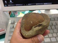石に詳しい方に質問です。先日、河原でこんな石を見つけたのですが、石 ...
