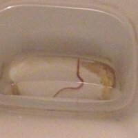 便から細長い寄生虫のような物が出てきました 死んでいて切ることも Yahoo 知恵袋
