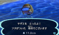 とび森 すもぐりの欠点といえば 海の幸がぷつんと泡を出して消える Yahoo 知恵袋