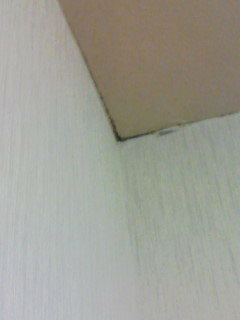 このような天井と壁紙の境目にできたカビの消し方について教えてください最上階の角 Yahoo 知恵袋