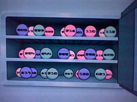 試作品 Www Hojf Com Br