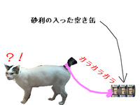 うちの猫は尻尾を引っ張られると喜ぶのですが大丈夫なのでしょうか Yahoo 知恵袋
