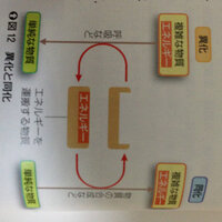 生物基礎です この図の意味が全く理解できません 代表的な異化には 呼 Yahoo 知恵袋