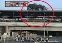 大阪府守口市の「萱島駅の御神木」について、質問です。

今まで、この「木」を撤去しようとしたら、多くの犠牲者が出たということですが、具体的にはどのようなことがあったのでしょうか。 この木のことを詳しく知りたいと思っております。