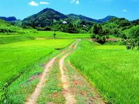 愛知県夏のオススメ景色 愛知県内で綺麗な景色を見に行きたいと思っ Yahoo 知恵袋