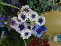 花の名前で 英語にするとかわいい名前の花って何がありますか Yahoo 知恵袋