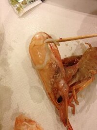 生食エビの寄生虫について質問です 今日スーパーで買ってきたエビ Yahoo 知恵袋