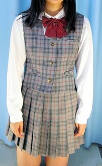 女性の皆様 もし 家政婦の仕事をすることになった時に 仕事をする家か Yahoo 知恵袋