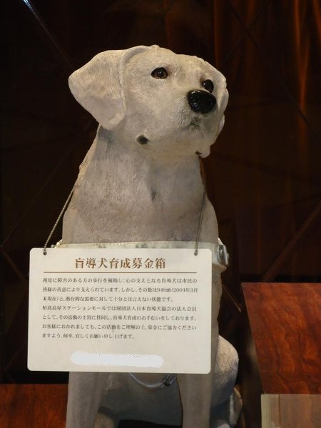 家の鍵を落としたら悪用される可能性はありますか？ - 鍵には通 