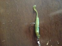 シャッドテールワームの付け方を教えてください これであっていますか Yahoo 知恵袋