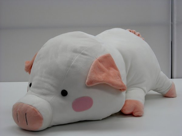 100枚】ブタのぬいぐるみを探しています！ - 前に、母に買っても
