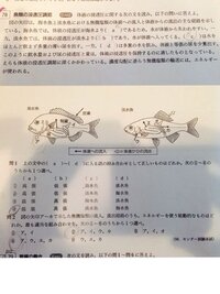塩の浸透圧で水分が抜けると言われますが なぜ海水に生息している魚などは浸透圧で Yahoo 知恵袋