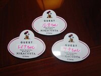 ディズニーホテルで働こうと思っています 昔からディズニーで働くことが夢で Yahoo 知恵袋