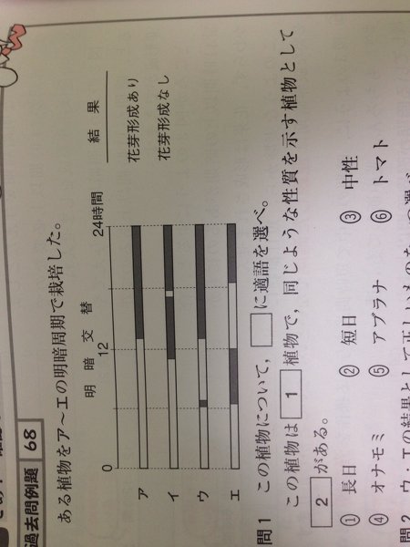 短日植物 花芽形成 に関するq A Yahoo 知恵袋