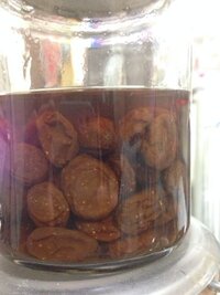 レーズンをブランデーに漬けて ラムレーズンならぬブランデーレーズンを作 Yahoo 知恵袋