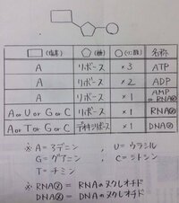 男子高校生が女子にlineで言われてキュンとする言葉は Yahoo 知恵袋