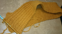 二目ゴム編みでスヌードを編んでいるんですが、シンプルすぎたのと細めなんで最後にかぎ針で縁編みのようなものをしたいと思っています。

どういう風に編むのがいいでしょうか？ 