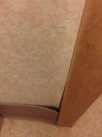 写真が見にくいかもしれませんが トイレの壁クロスと下の部分 すいません 名前が Yahoo 知恵袋