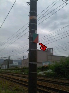 マクドナルドで売ってるQooのマスカットは市販されていないんですか 