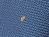 歯石を無理やり爪でとったりしてしまったらどうなるのでしょうか Yahoo 知恵袋