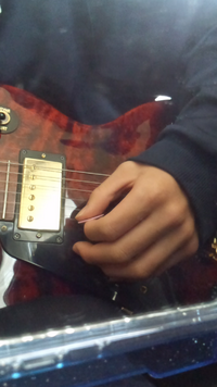 べっ甲製のピックって 寿命はどれくらいですか すぐに割れそうなイメ Yahoo 知恵袋