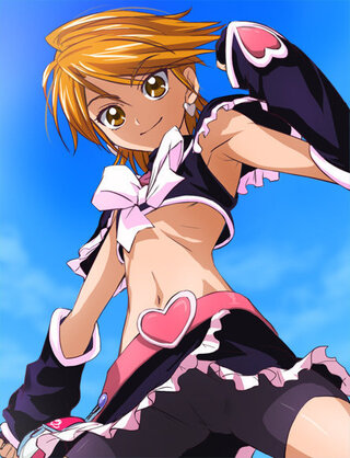 好きなプリキュアは何ですか 俺は無印キュアブラック キュアベリー キュアサンシ Yahoo 知恵袋