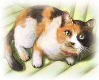 超絶リアル動物イラストを描きました リアル動物イラストを描かせたら 絵画 Yahoo 知恵袋